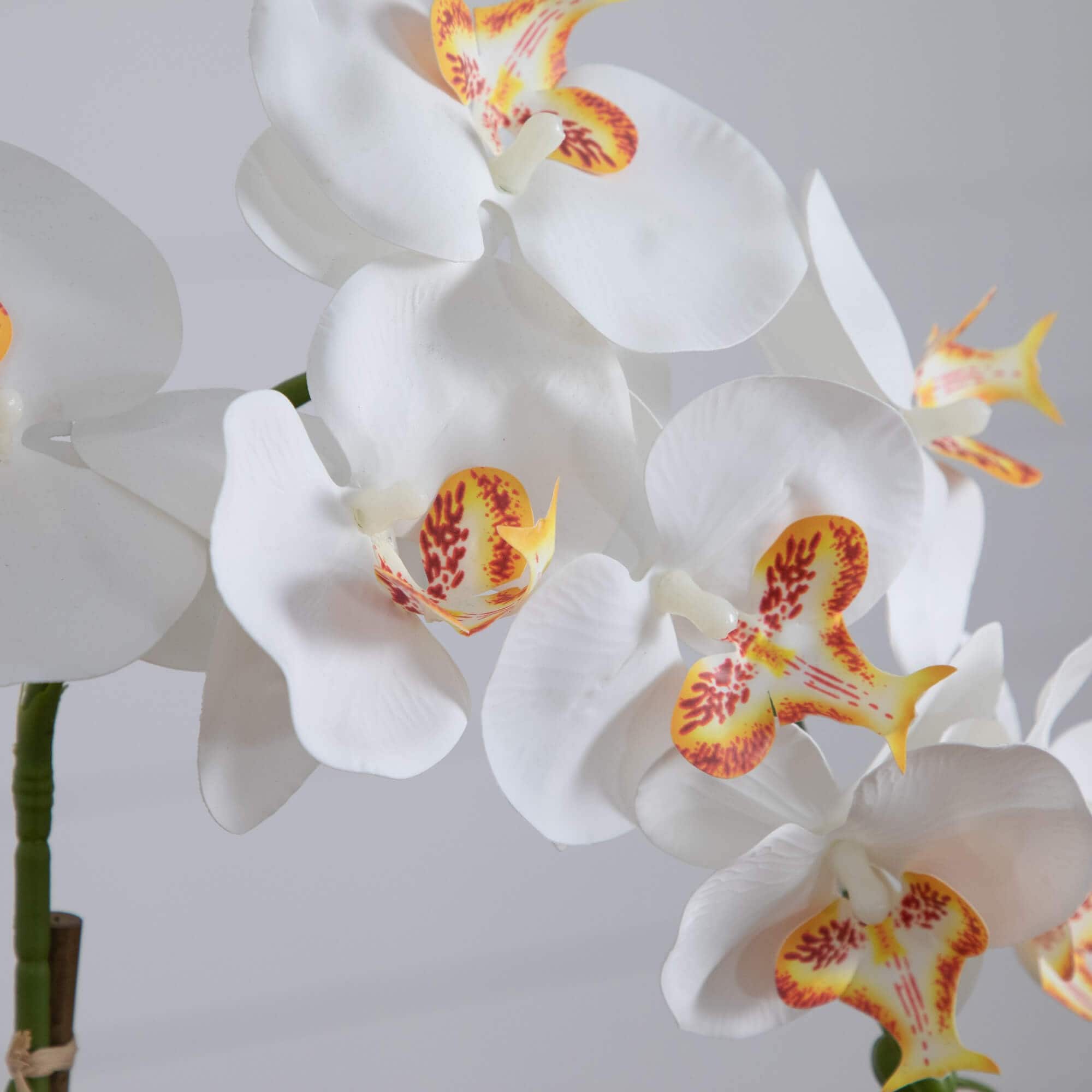 2ft. Artificial Orchid Arrangement in Handmade Mexican Talavera Ceramic Planter